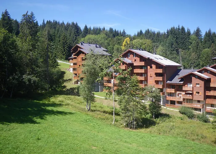 1100 Morillon