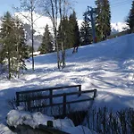 1100 Morillon